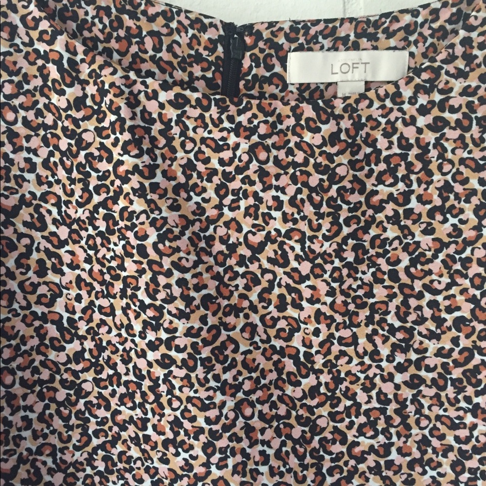 Ann Taylor Loft Dress